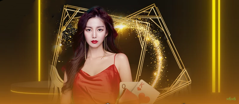 x6x6 Provedores Premium