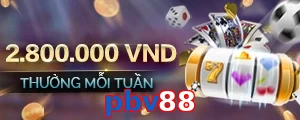 pbv88