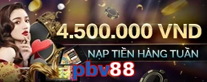 pbv88