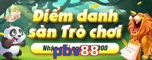 pbv88