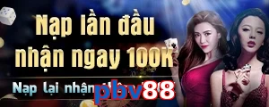 pbv88