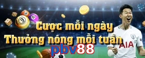 pbv88